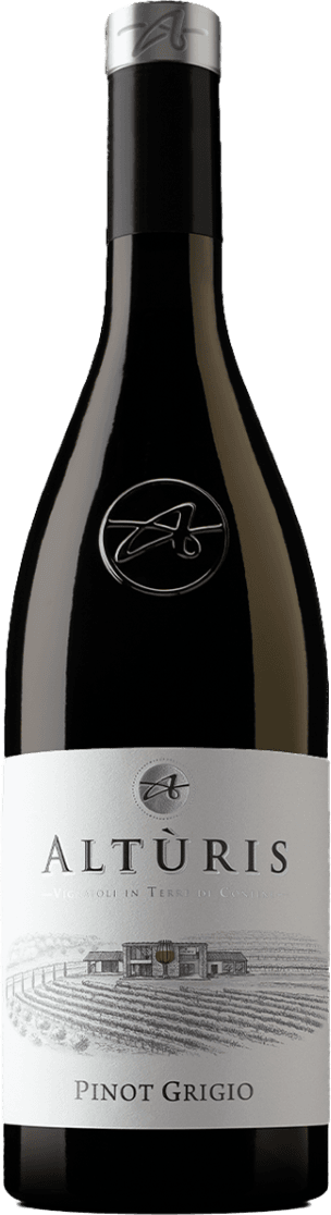 Het label toont een minimalistisch ontwerp met een afbeelding van een wijnhuis omringd door wijngaarden. Bovenaan staat de naam 'ALTURIS' prominent afgebeeld in grote, elegante letters. Het geheel is strak en stijlvol vormgegeven.