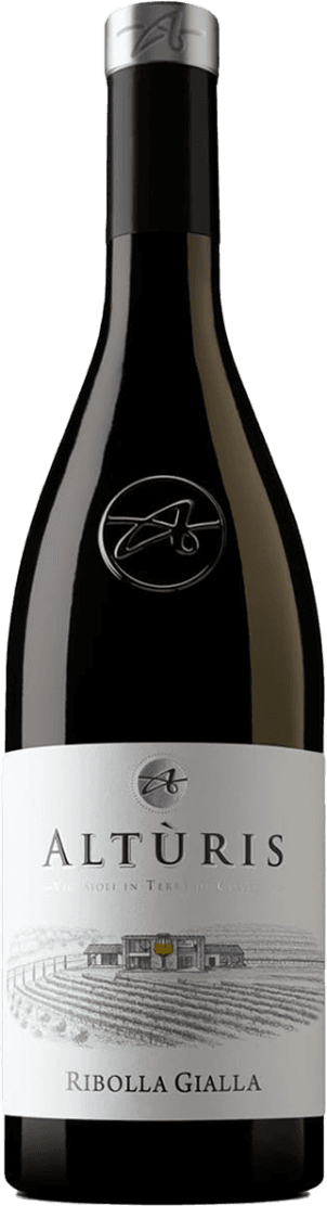 Friuli Colli Orientali DOP Ribolla Gialla 2024