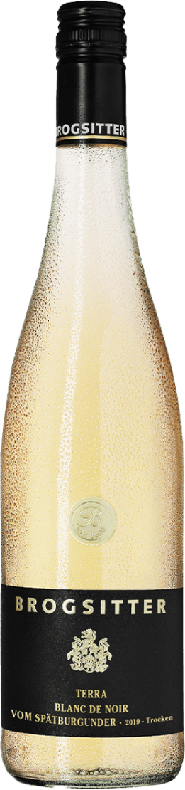 Het label is zwart met goudkleurige letters. Bovenaan staat 'BROGSITTER'. In het midden is een familiewapen afgebeeld in goudkleur, en daaronder de tekst 'TERRA BLANC DE NOIR VOM SPÄTBURGUNDER 2019 - Trocken'.