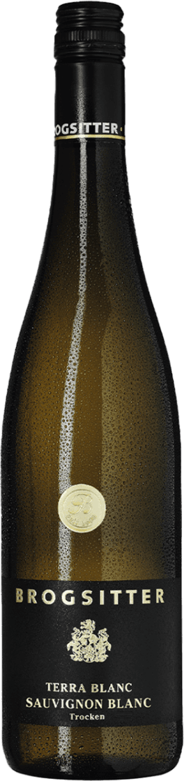 Rheinhessen Terra Blanc Sauvignon Blanc