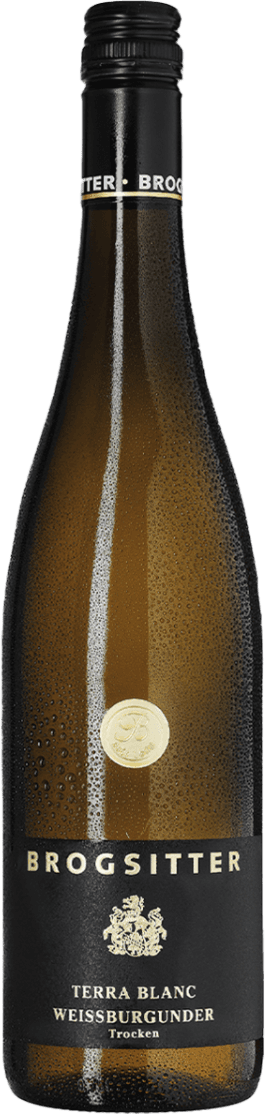 Het label is zwart met goudkleurige accenten. Bovenaan staat de naam 'BROGSITTER' in grote, gouden letters. Daaronder bevindt zich een familiewapen of schild eveneens in goud. Het geheel oogt strak en traditioneel, zonder afbeeldingen van dieren, fruit of natuur.