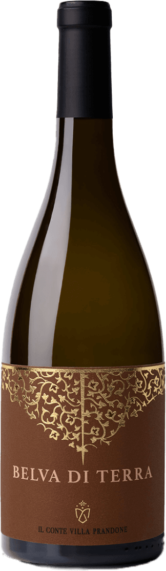Het label is bruin met een gouden, sierlijk patroon dat doet denken aan wijnranken of bladeren. De naam 'BELVA DI TERRA' staat in grote witte letters centraal op het label. Onderaan is de naam van de producent, 'IL CONTE VILLA PRANDONE', te zien in kleinere witte letters.