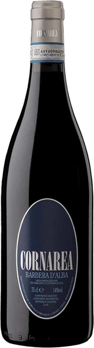 Barbera d'Alba DOC 2022