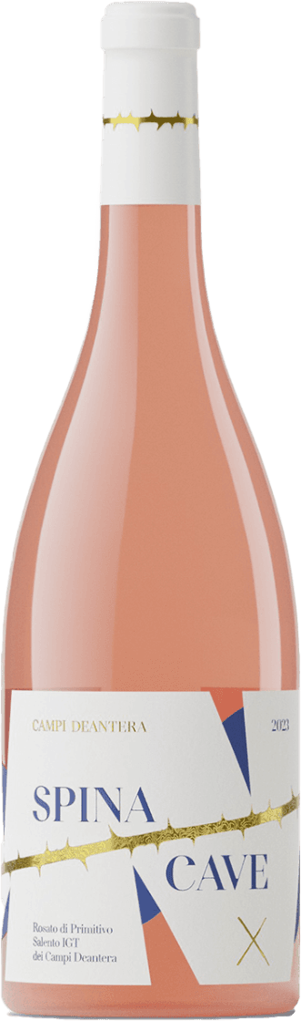 Het label heeft een moderne en minimalistische uitstraling met een witte achtergrond. Er zijn abstracte vormen in blauw en rood/oranje, samen met een opvallende gouden doornentak die diagonaal over het label loopt. De naam 'SPINA CAVE' staat groot op het label, deels overlappend met de grafische elementen. Het geheel oogt strak en eigentijds.