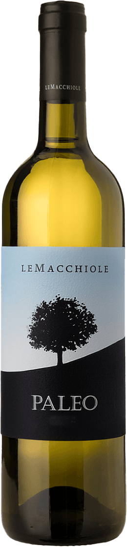 Het label toont een silhouet van een boom tegen een achtergrond die van lichtblauw naar zwart verloopt. De naam 'Paleo' staat in grote letters onder de boom.