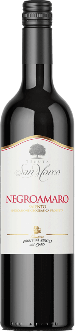 Het label van de wijnfles toont een minimalistisch ontwerp met het logo en de naam 'Tenuta San Marco' in sierlijke letters bovenaan. Onder de naam staat 'Negroamaro' in grote, opvallende rode letters, gevolgd door kleinere tekst die aanvullende informatie geeft over de herkomst en classificatie van de wijn. Bovenaan is er een klein embleem of symbool dat mogelijk een boom of struik voorstelt.