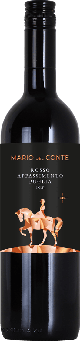 Puglia IGT Appassimento