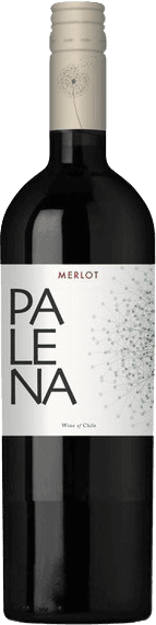 Maipo Valley Merlot