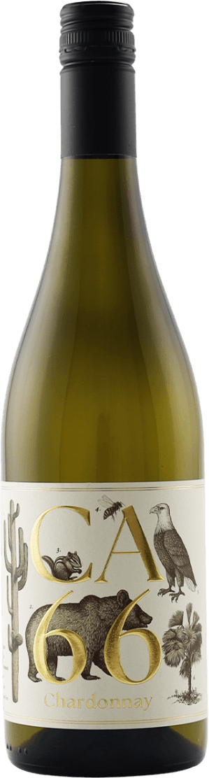 Südsteiermark DAC CA 66