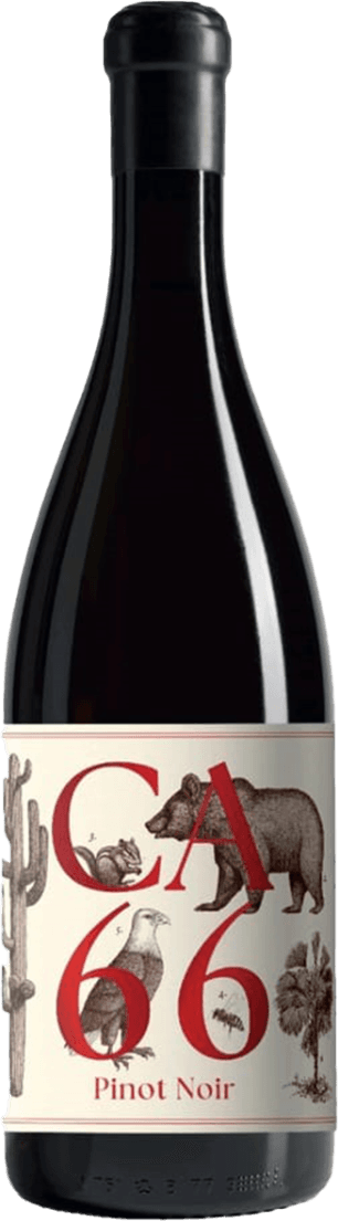 Südsteiermark DAC CA 66 Pinot Noir