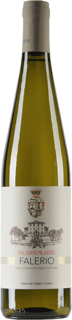 Het label toont een traditioneel ontwerp met een familiewapen bovenaan en een afbeelding van een kasteel of groot landhuis daaronder. De naam 'Saladini Pilastri' staat prominent in het midden, gevolgd door 'Falerio'. Onderaan staat vermeld dat de wijn is gemaakt van biologische druiven.