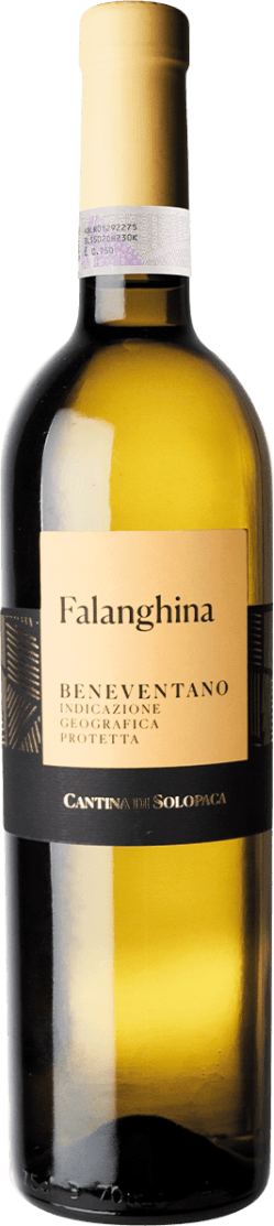 Beneventano IGT Falanghina