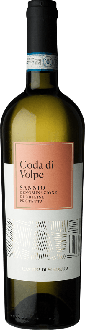 Coda di Volpe Sannio DOP