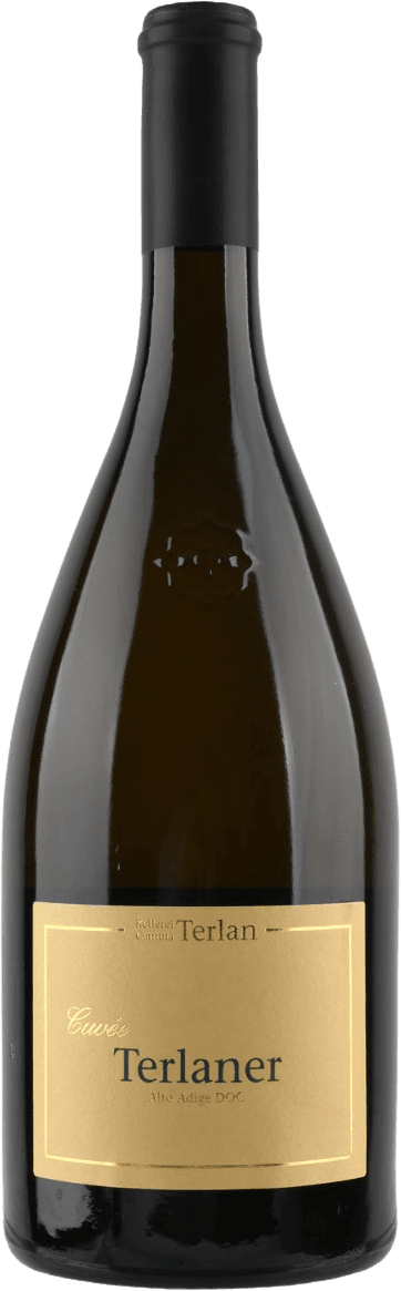Het label is rechthoekig en heeft een zachte, beige-gele achtergrond met een dunne gouden rand. De tekst 'Cuvée Terlaner Alto Adige DOC' staat centraal in groene en gouden letters. Linksboven staat klein de naam van de wijnmakerij 'Kellerei Cantina Terlan'. Het ontwerp is minimalistisch zonder afbeeldingen of illustraties, alleen strakke lijnen en tekst.
