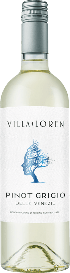 Het label toont een gestileerd silhouet van een gezicht met daarin blauwe lijnen die lijken op takken of haar dat in de wind waait. De naam 'Villa Loren' staat bovenaan in elegante letters, en daaronder 'Pinot Grigio Delle Venezie'.