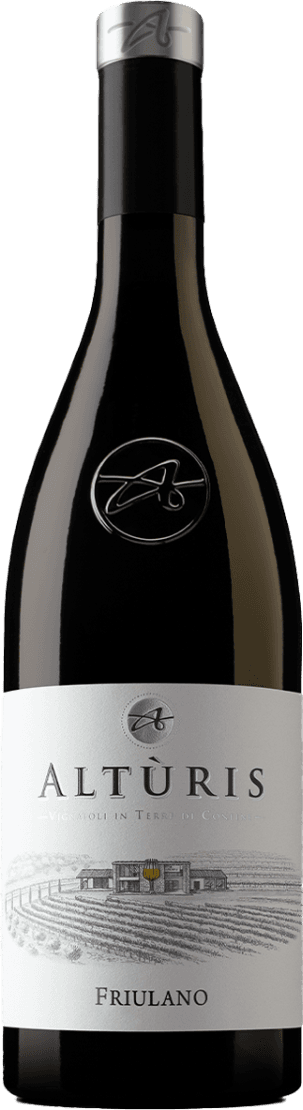 Friulano Friuli Colli Orientali DOP 2024