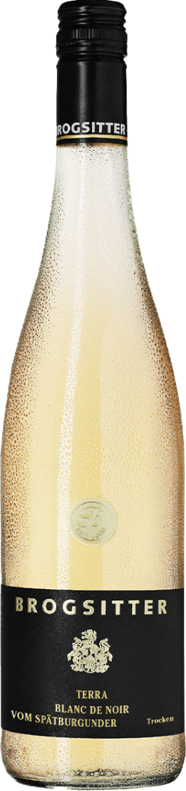 Brogsitter Weingüter - Rheinhessen Terra Blanc, Spätburgunder Blanc de Noir Het label is zwart met gouden tekst en bevat een familiewapen of schild centraal op het label. De merknaam 'BROGSITTER' staat groot bovenaan, met daaronder het wapen en de naam van de wijn. Het ontwerp is klassiek en strak, zonder afbeeldingen behalve het wapen.