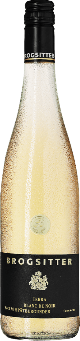 Rheinhessen Terra Blanc Spätburgunder Blanc de Noir Het label is zwart met goudkleurige tekst. Bovenaan staat de naam 'BROGSITTER' in grote, duidelijke letters. Onder de naam staat een familiewapen of schild centraal afgebeeld. Daaronder staan in kleinere letters de naam van de wijn en het type, eveneens in goudkleurige tekst. Het label is strak, minimalistisch en traditioneel vormgegeven. Op de fles zelf is een reliëf met een 'B' te zien, wat een extra detail toevoegt.