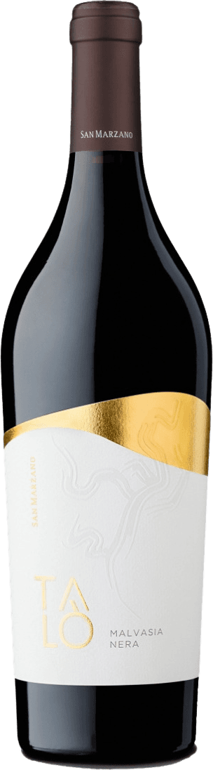 San Marzano - San Marzano Salento IGP Talo Malvasia Nera Het label is minimalistisch met een prominente gouden diagonale strook aan de bovenkant. De achtergrond is wit met subtiele reliëfdruk van een abstract patroon. De naam 'TALO' staat groot in goud, en daaronder in kleinere letters 'MALVASIA NERA'.