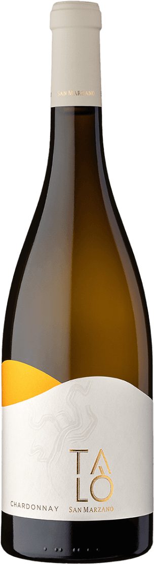 San Marzano - Puglia IGP Talò Chardonnay Het label heeft een minimalistisch ontwerp met een subtiel reliëf van een lijntekening. De merknaam 'Talò' is prominent in goudkleurige letters weergegeven. Er is een opvallend oranje geometrisch element aan de zijkant.