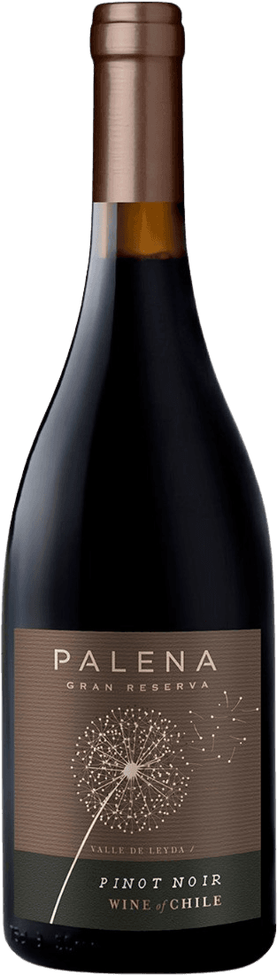 Palena - Casablanca Valley Pinot Noir Gran Reserva Het label toont een gestileerde afbeelding van een paardenbloem in zaadvorm. De achtergrond is bruin met fijne horizontale lijnen, en de tekst is in goudkleurige letters. Bovenaan staat 'PALENA' en daaronder 'GRAN RESERVA'. Onderaan zijn de woorden 'PINOT NOIR' en 'WINE of CHILE' te zien.
