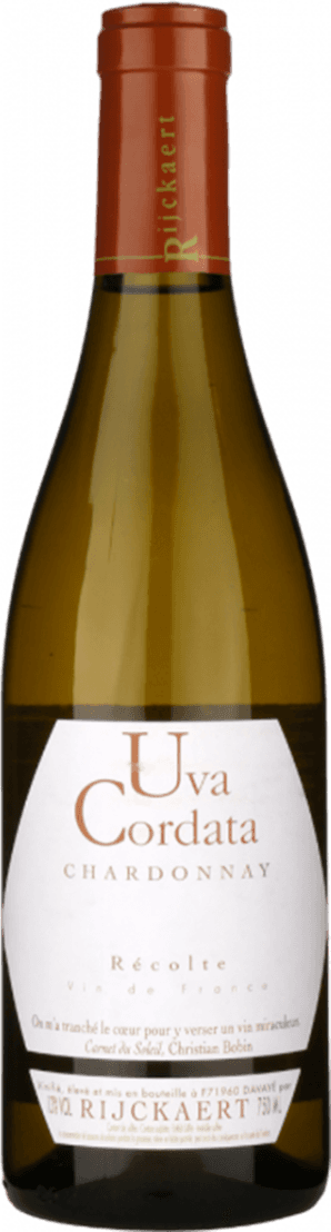 Jean Rijckaert - VdF Uva Cordata Chardonnay 2021 Het label van de wijnfles is vrij minimalistisch en elegant. Het bevat grote, sierlijke letters met de naam 'Uva Cordata Chardonnay' prominent in het midden. Onder deze naam staat 'Récolte Vin de France' in een kleiner lettertype. Onderaan het label staat nog meer tekst in een kleinere en subtielere stijl. Er zijn geen afbeeldingen of illustraties op het label.