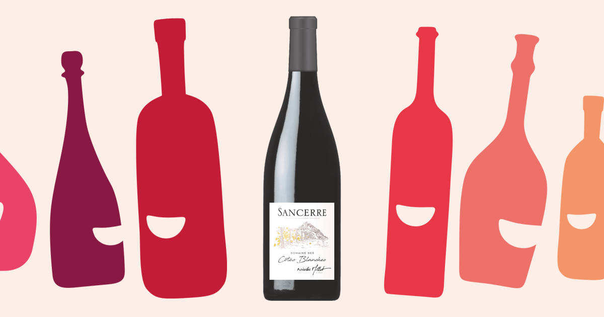 Nicolas Millet - Sancerre Rouge Domaine des Cotes Blanches - 2023 | 6wines